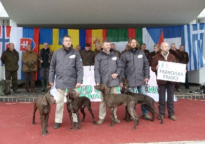 Best of Farolave - Equipe de France, Championnat du Monde des Braques Allemands