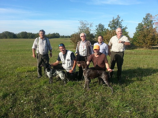 Best of Farolave - BENDI DEL ALBERO CAC IT